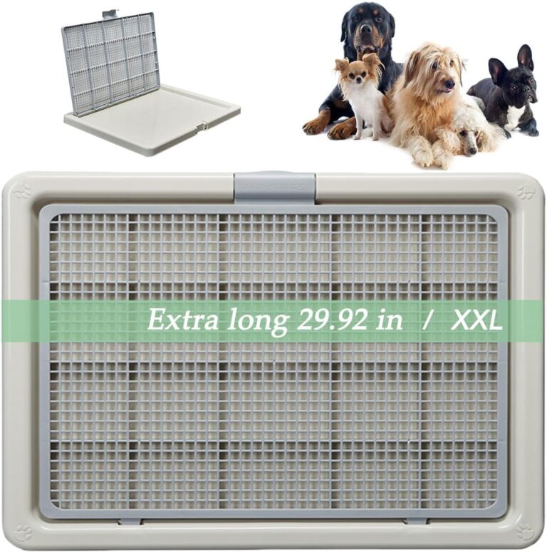 71kwUtUxGpL._AC_SL1200_
